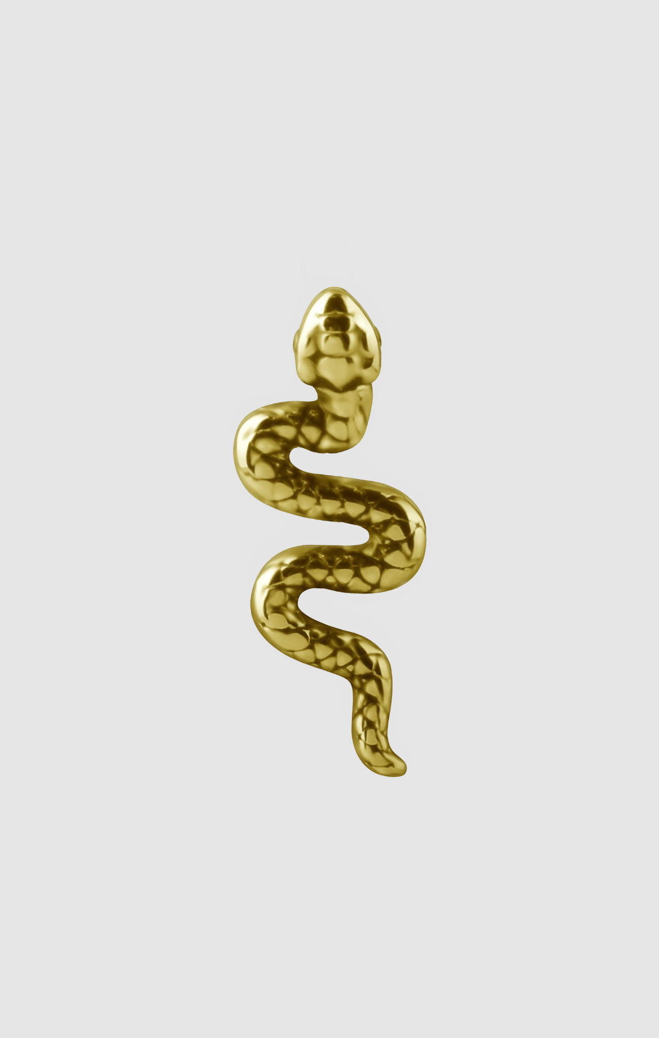 Snake-inspired titanium facial jewelry in silver or gold PVD, suitable for initial or upgraded piercings.